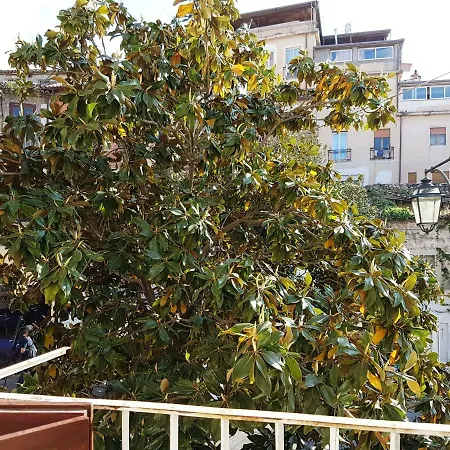 Mediterranean Style تروبيا